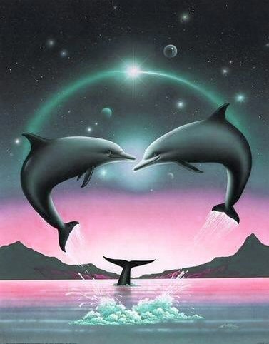 planete sauvage rencontre avec les dauphins